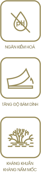 sơn orné