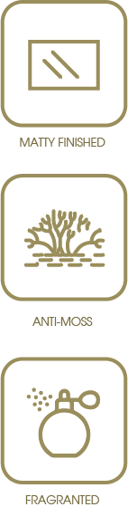 sơn orné
