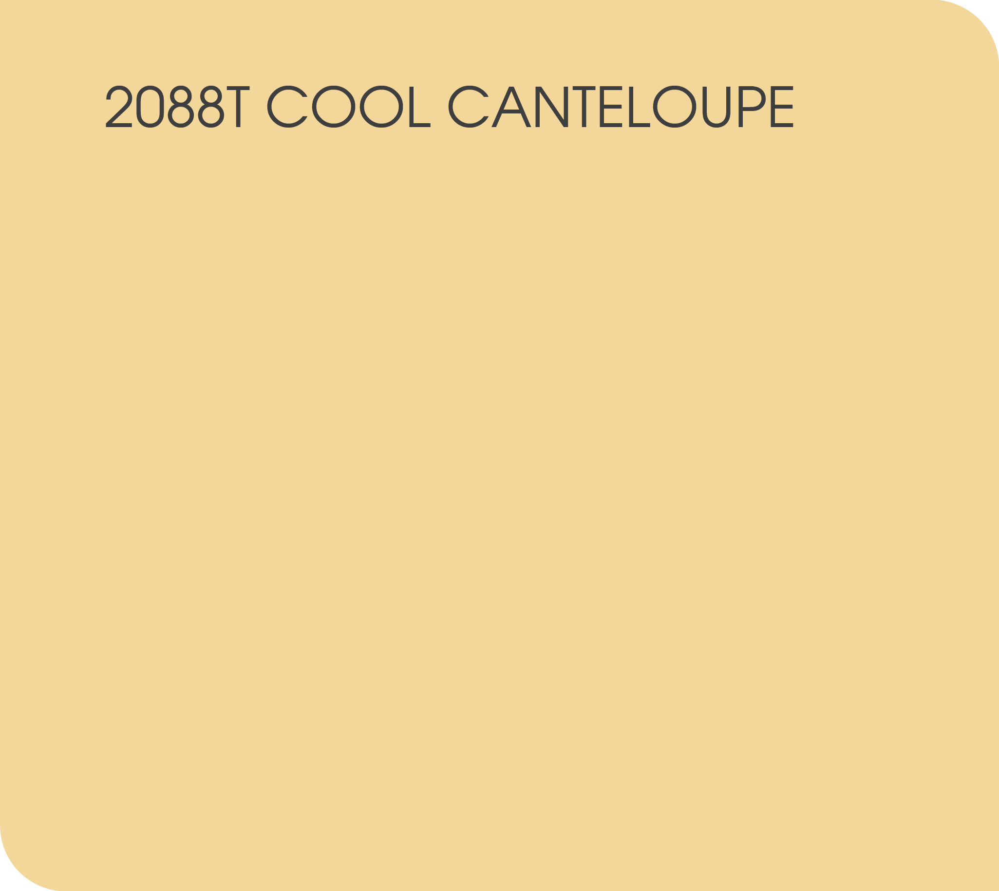cool canteloupe