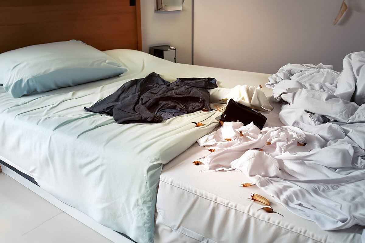Phòng ngủ có nhiều gián là do vệ sinh không sạch sẽ, quần áo bừa bộn, thực phẩm vưỡng vãi trên giường